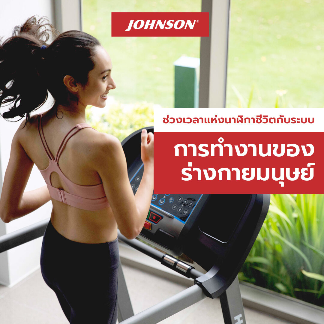 working system of the human body