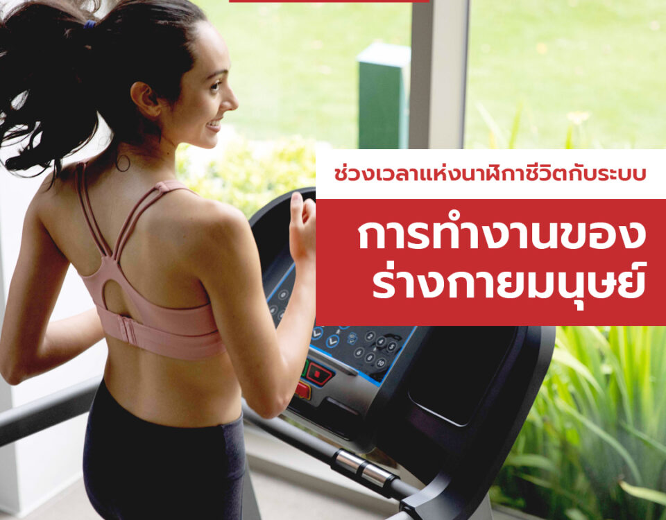 working system of the human body