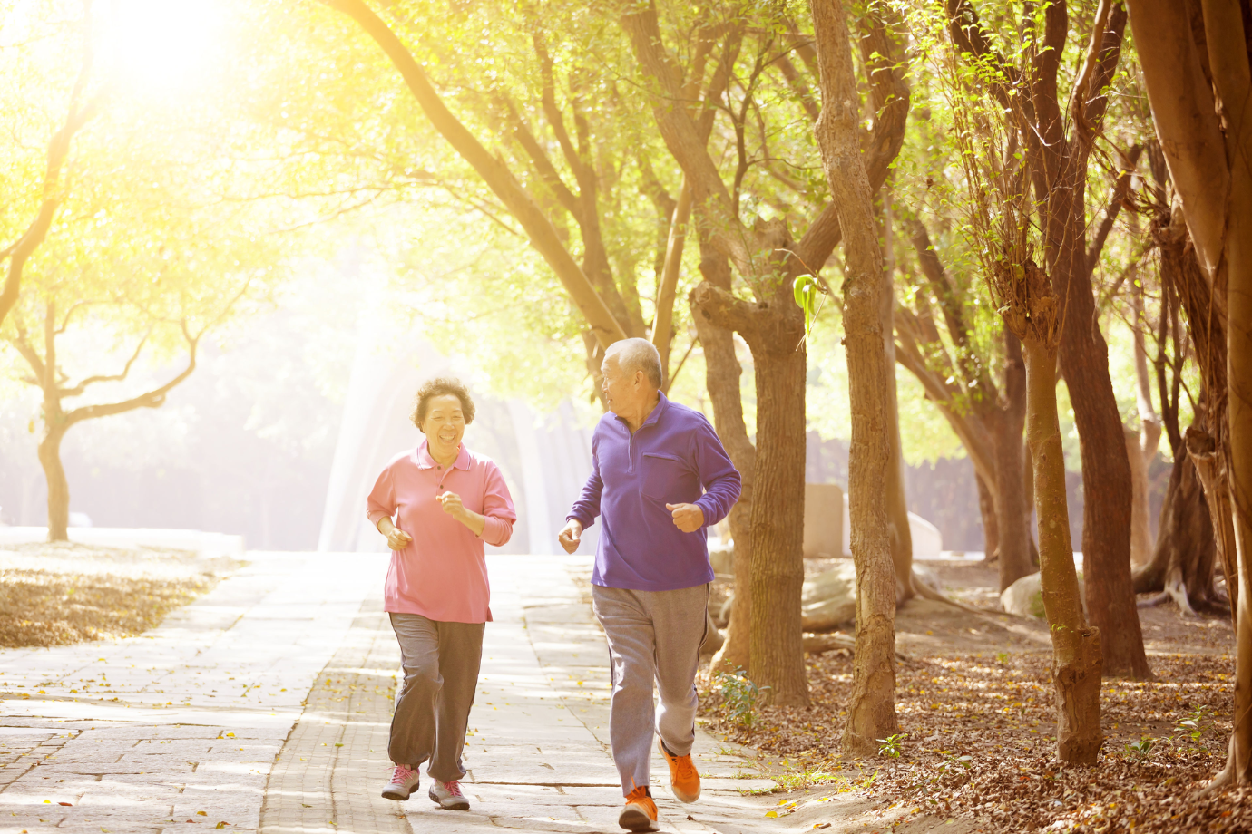 Exercise in the elderly-01